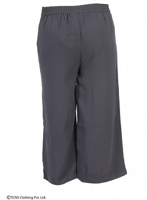 Grey Ankle-Length Pants