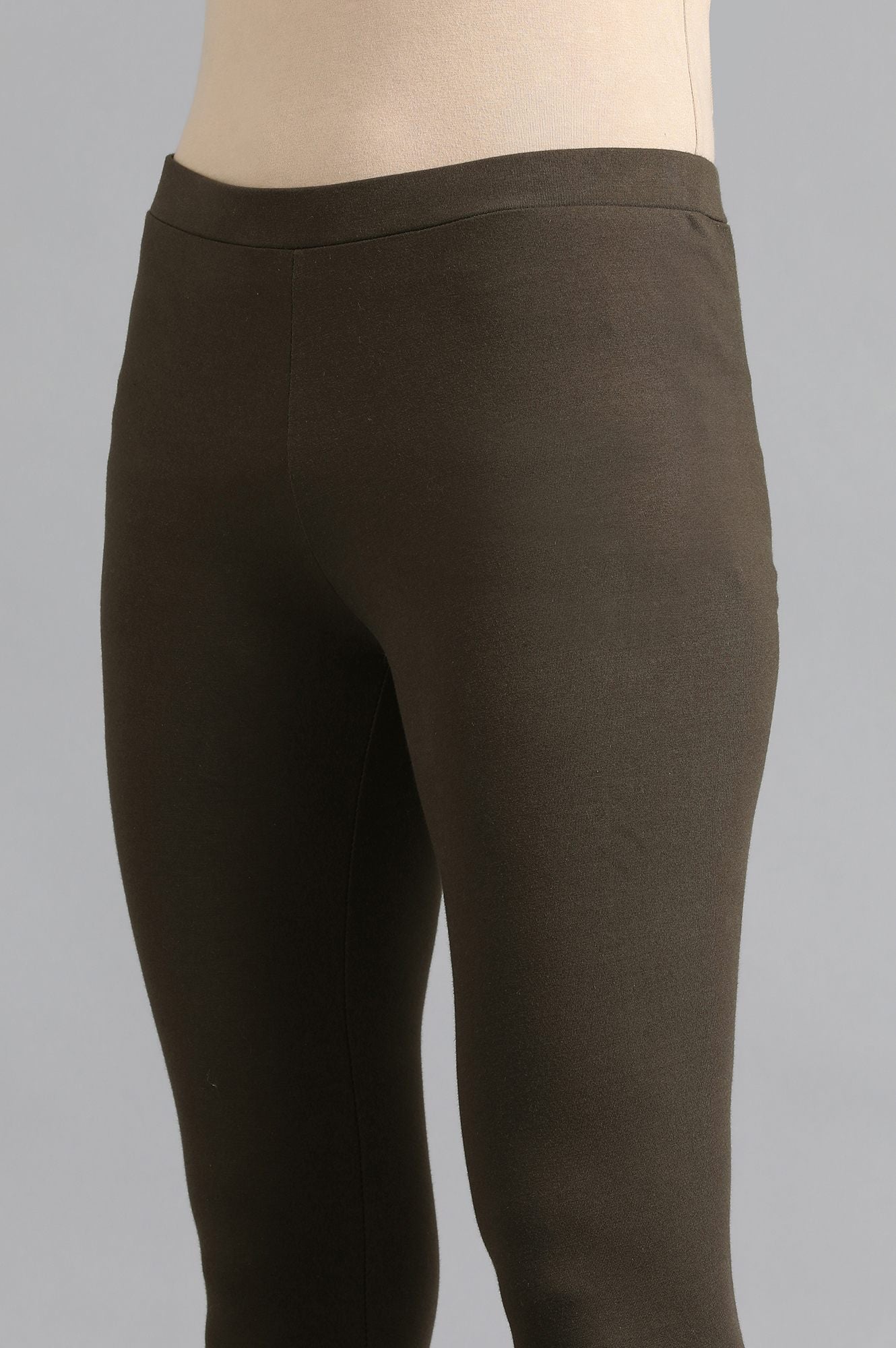 Brown Ankle Length Tights