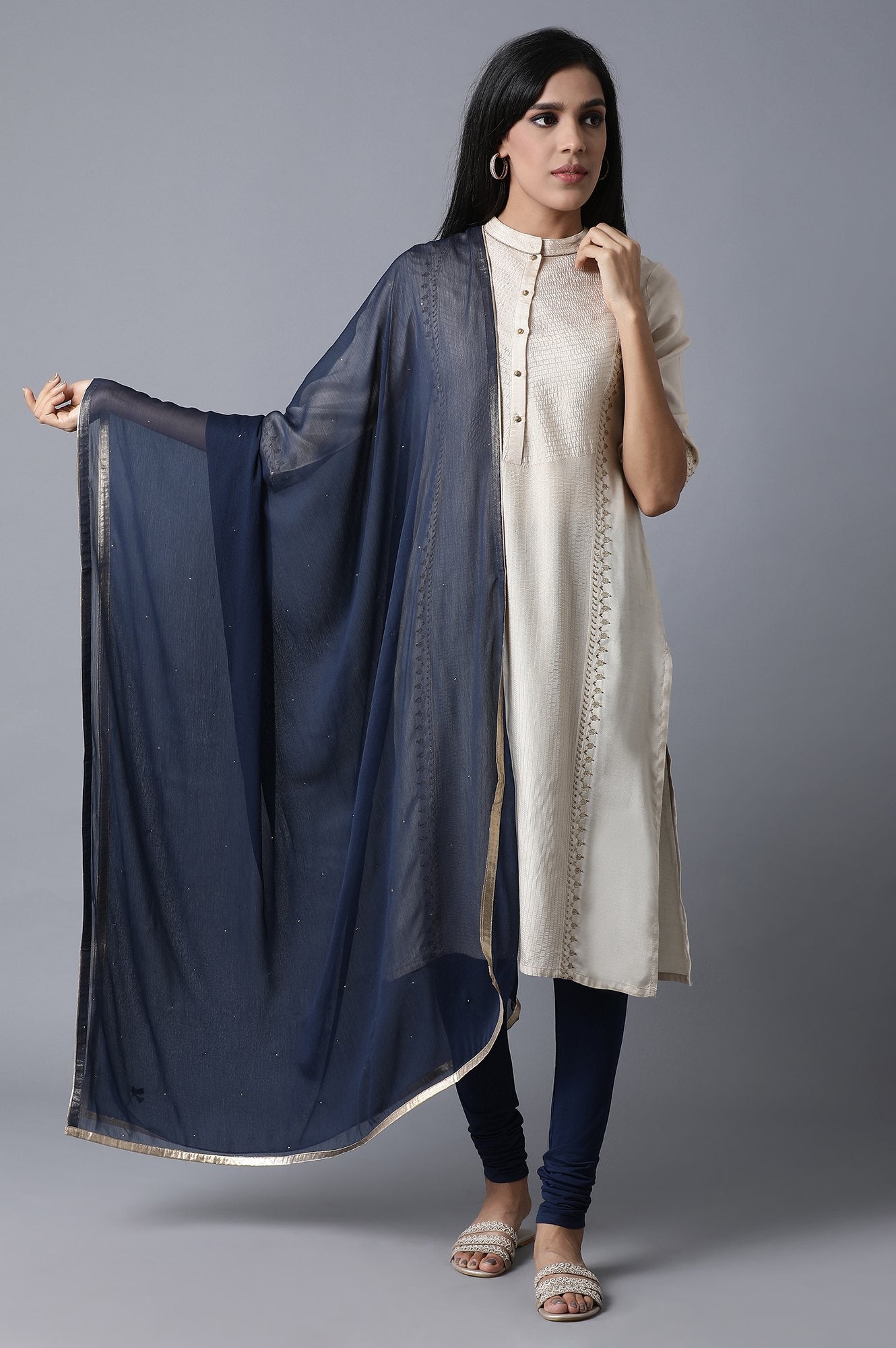 Navy Blue Mukaish Dupatta