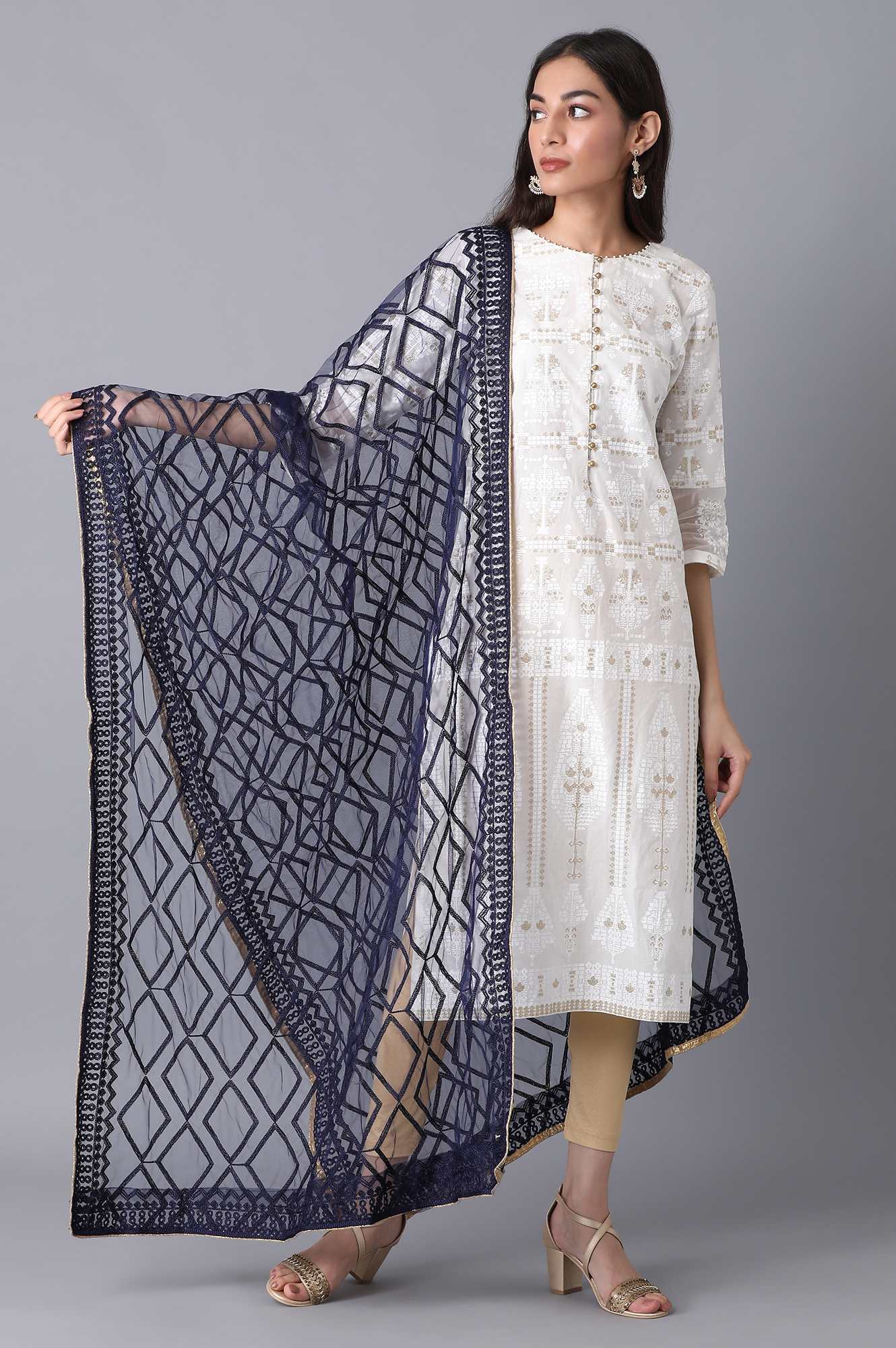 Navy Net Dupatta