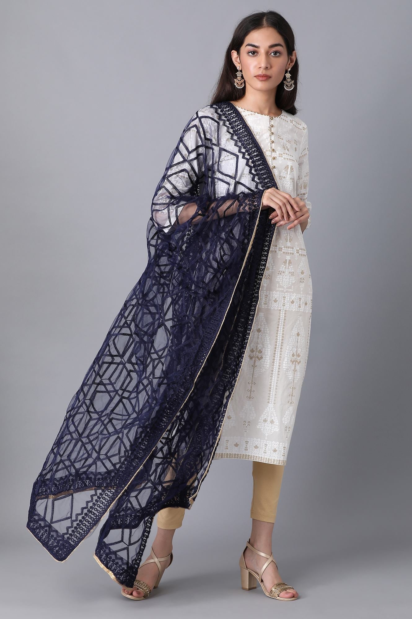 Navy Net Dupatta