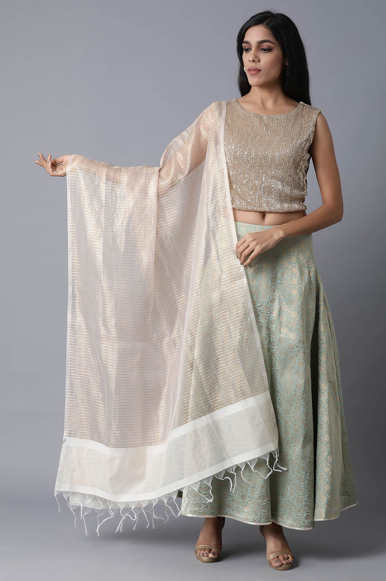 Ecru and Gold Chanderi Striped Dupatta