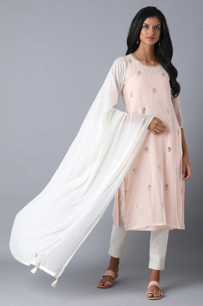 Light Pink Mesh Straight kurta - wforwoman