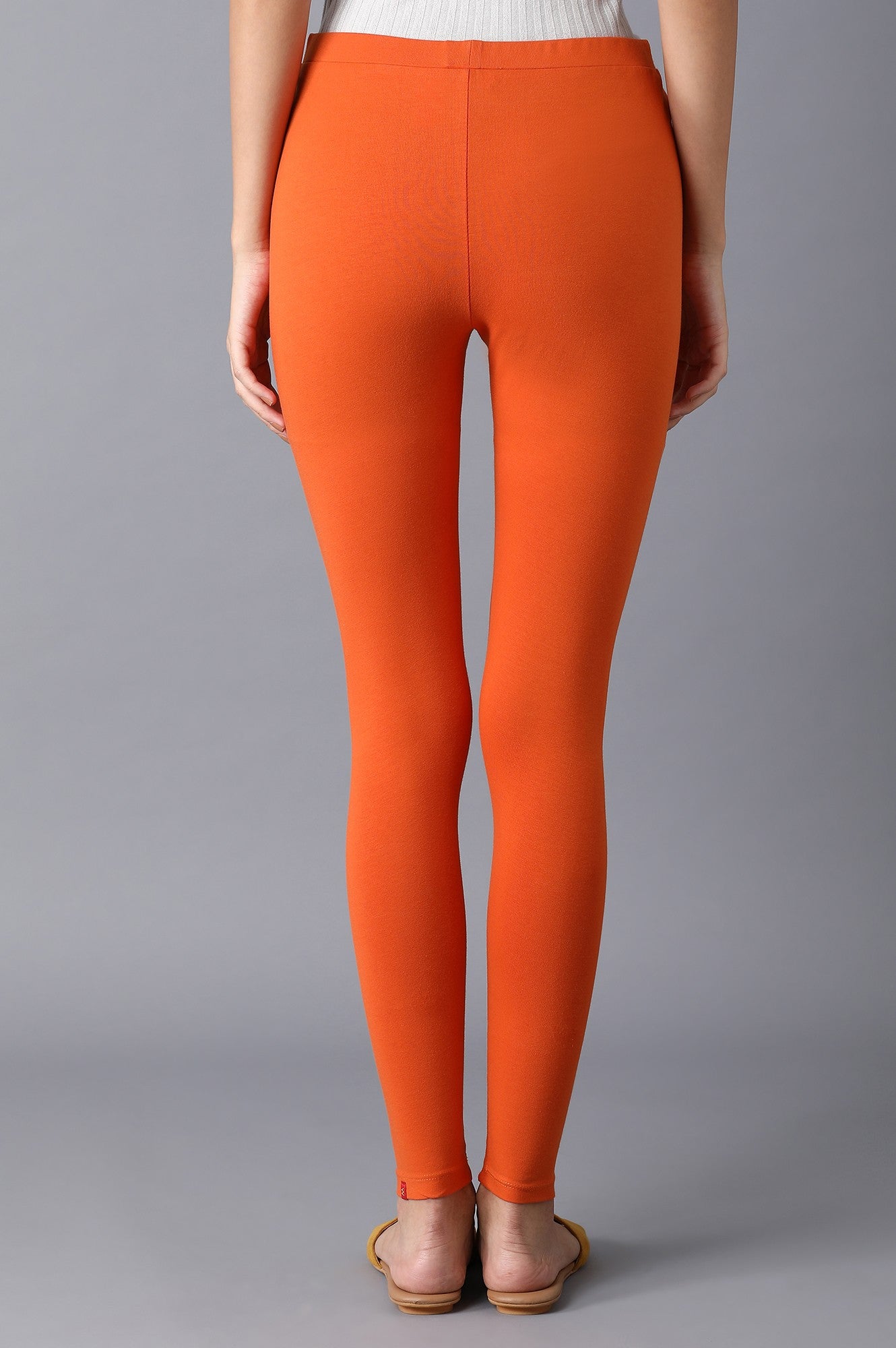 Orange Tights