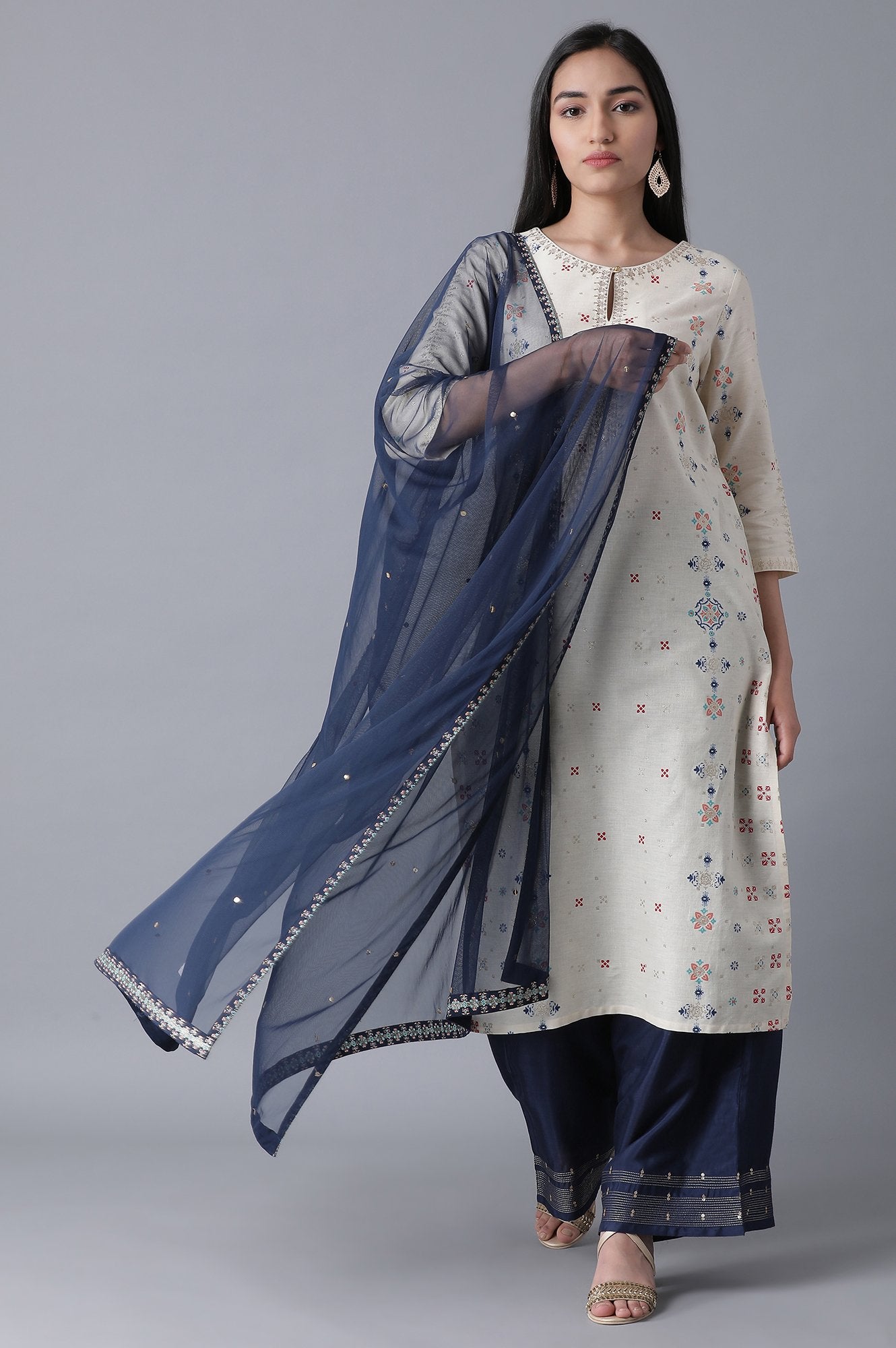 Navy Blue Mesh Dupatta