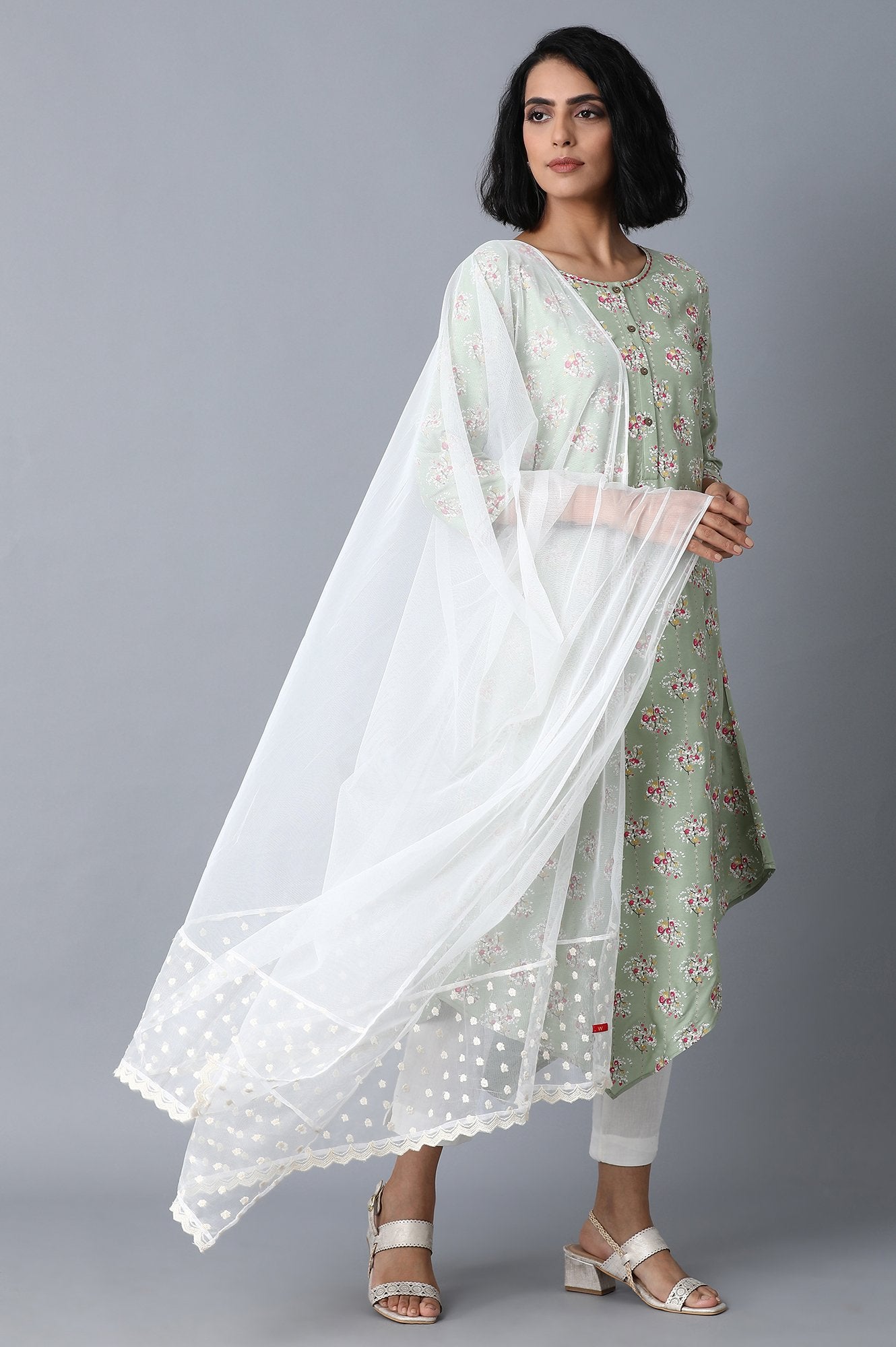 Ecru Mesh Dupatta