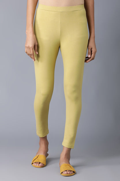 Celery Green Solid Tights