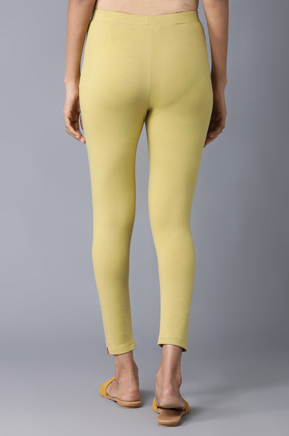 Celery Green Solid Tights