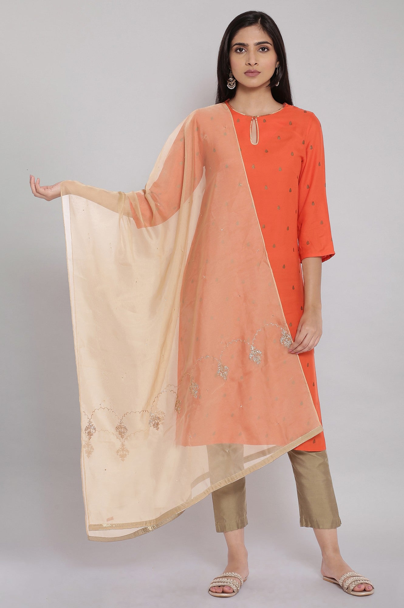 Gold Organza Dupatta with Embroidery