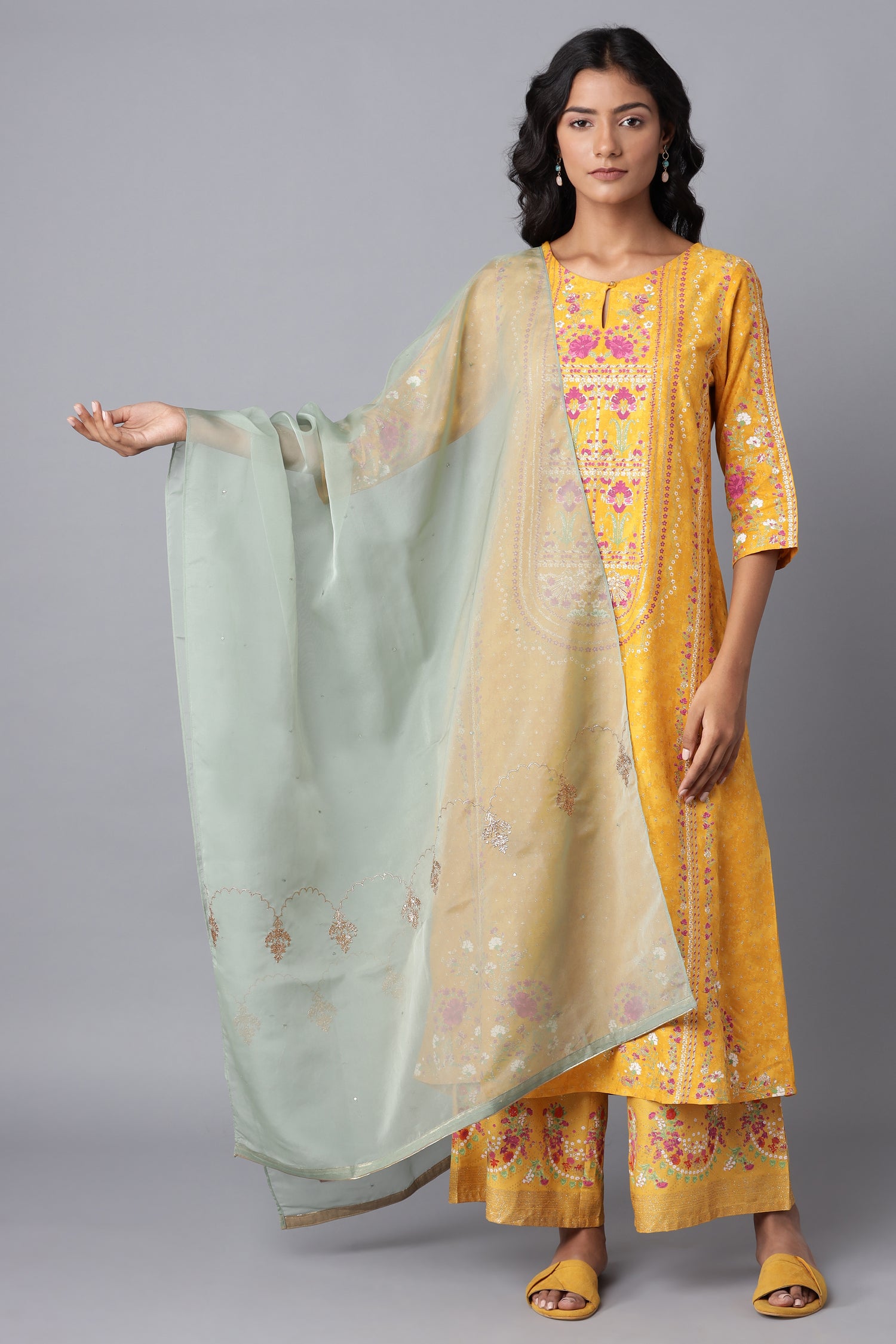 Light Green Organza Dupatta with Embroidery