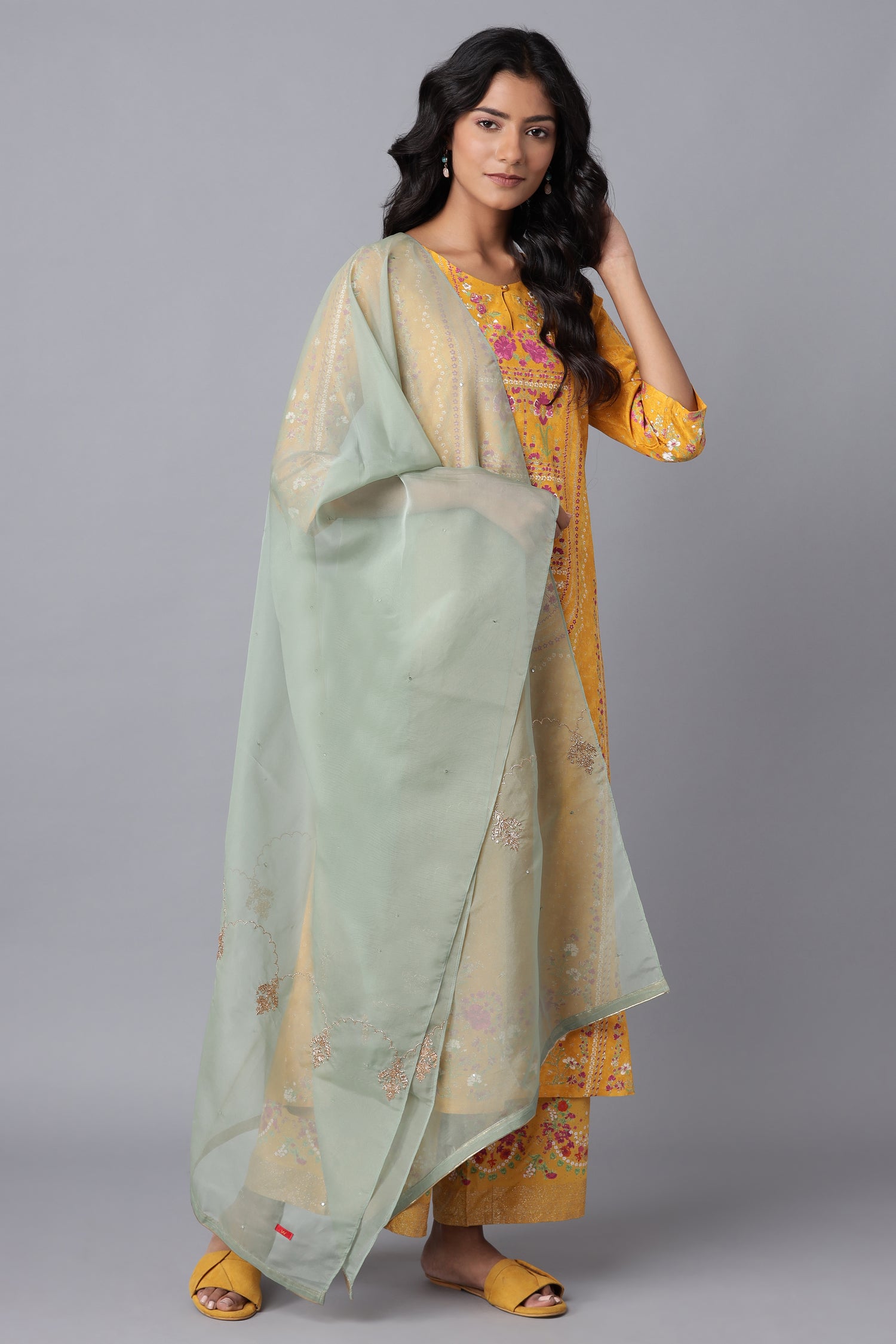 Light Green Organza Dupatta with Embroidery