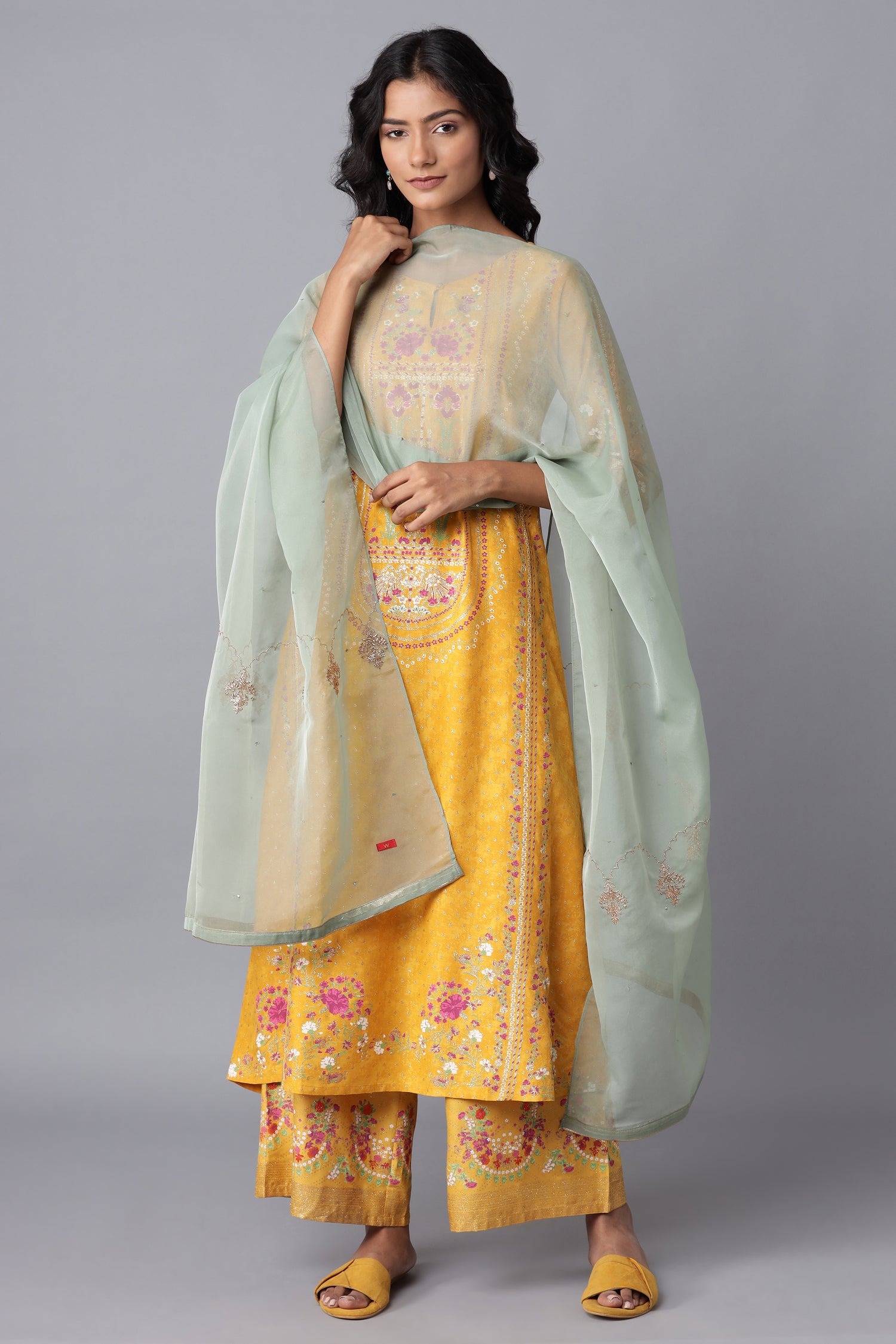 Light Green Organza Dupatta with Embroidery