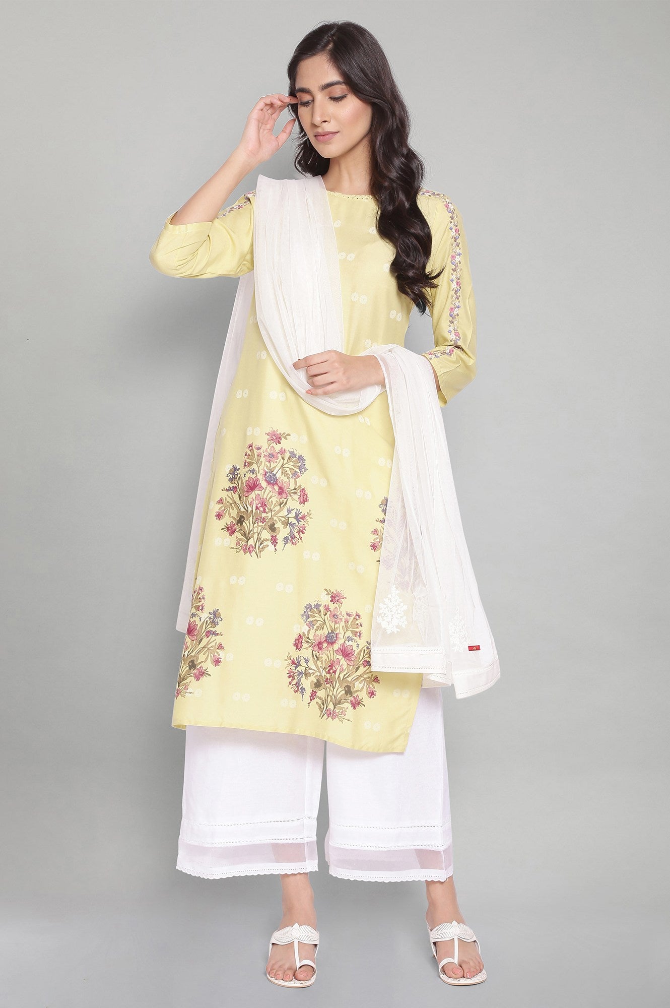 Ecru Mesh Embroidered Dupatta