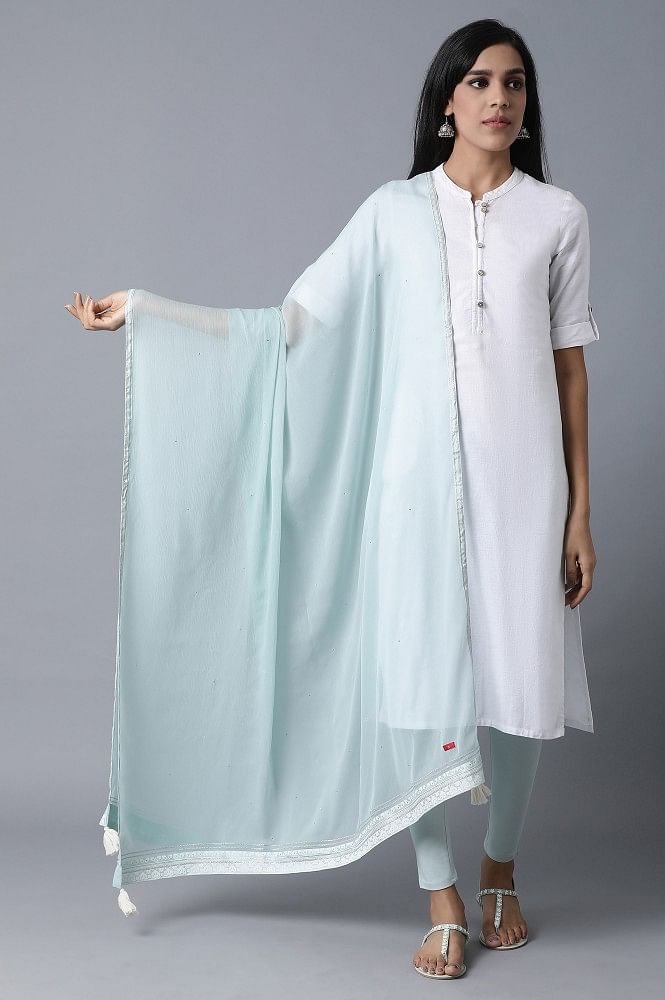 Sky Blue Mukaish Drape