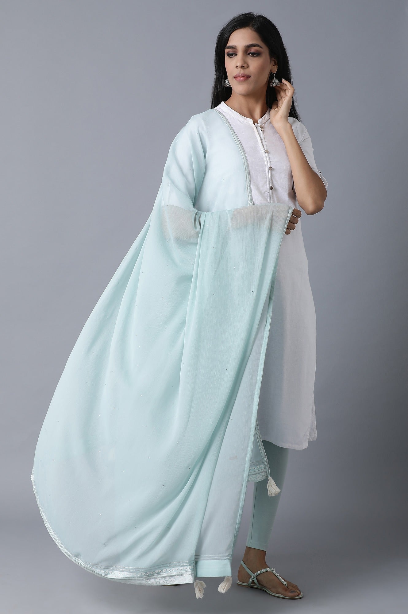 Sky Blue Mukaish Drape