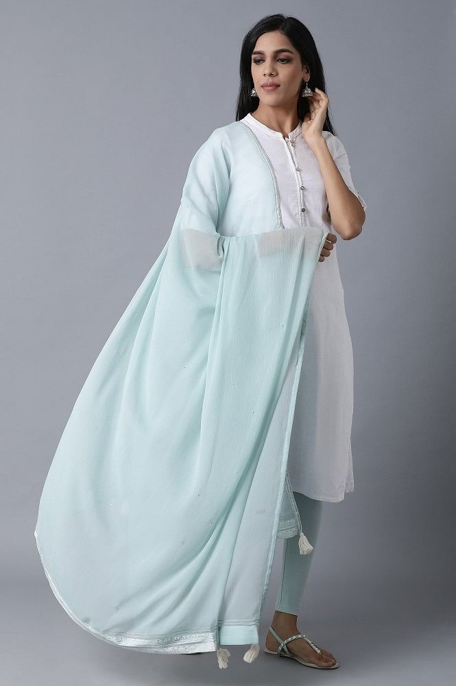 Sky Blue Mukaish Drape