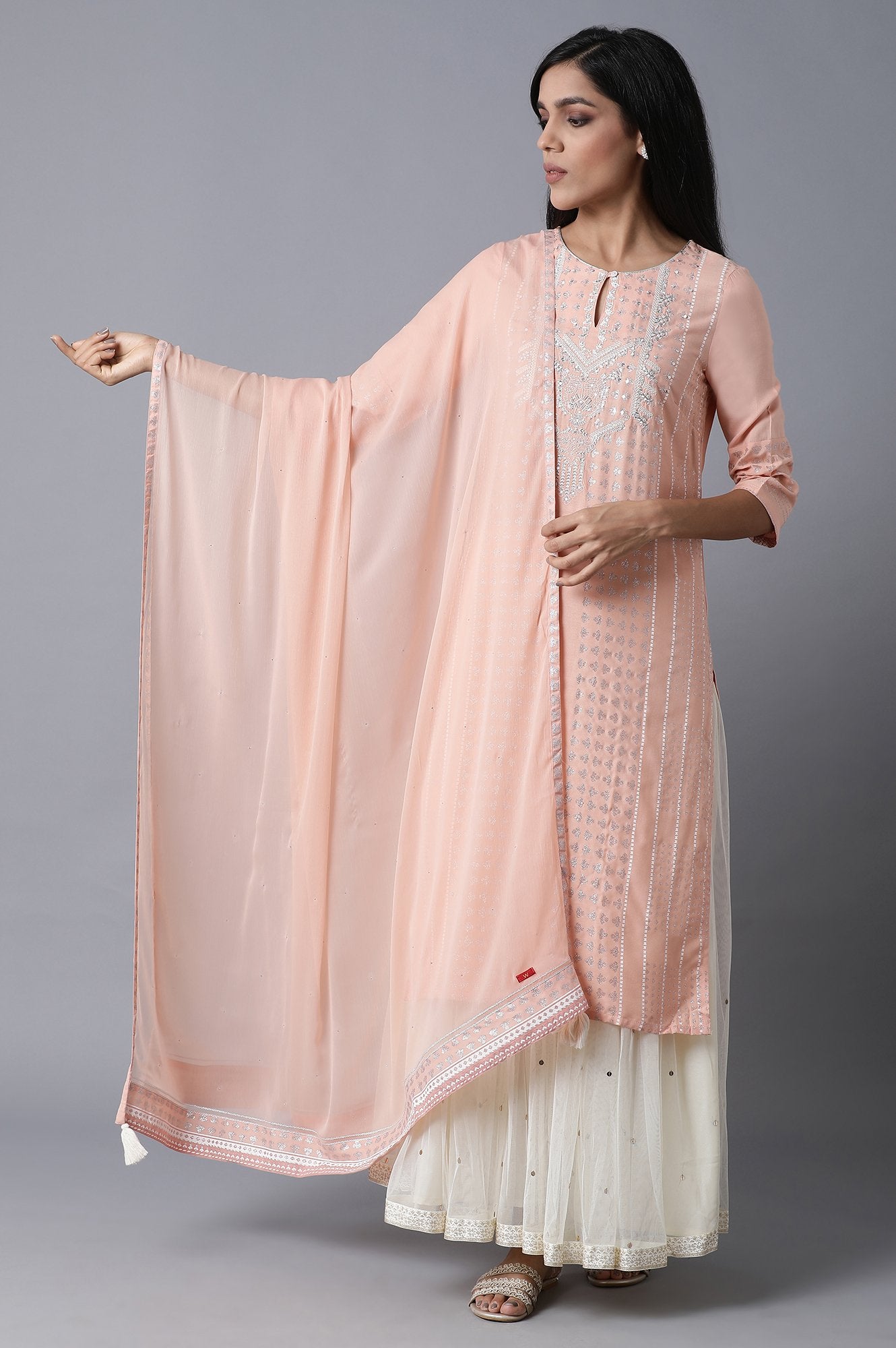 Blush Chiffon Mukaish Drape