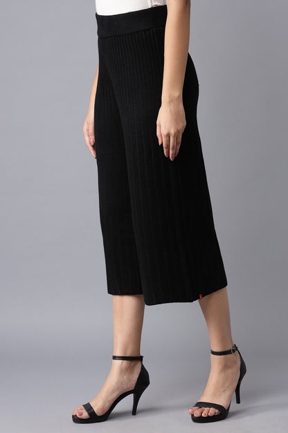 Jet Black Pleated Parallel Pants