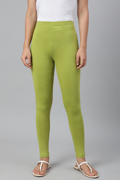 Light Green Solid Knitted Women Tights