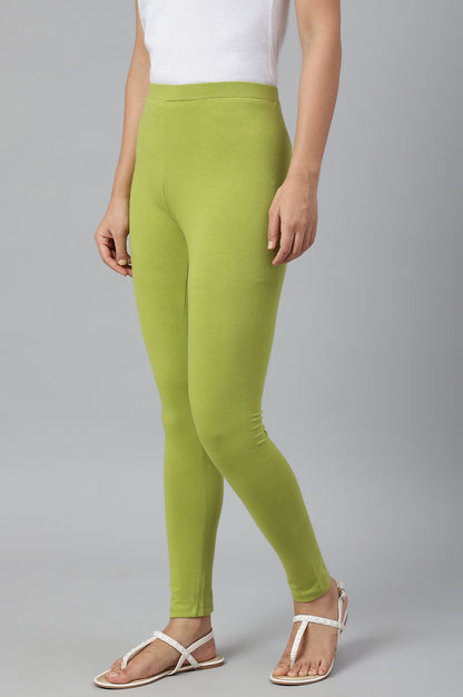 Light Green Solid Knitted Women Tights