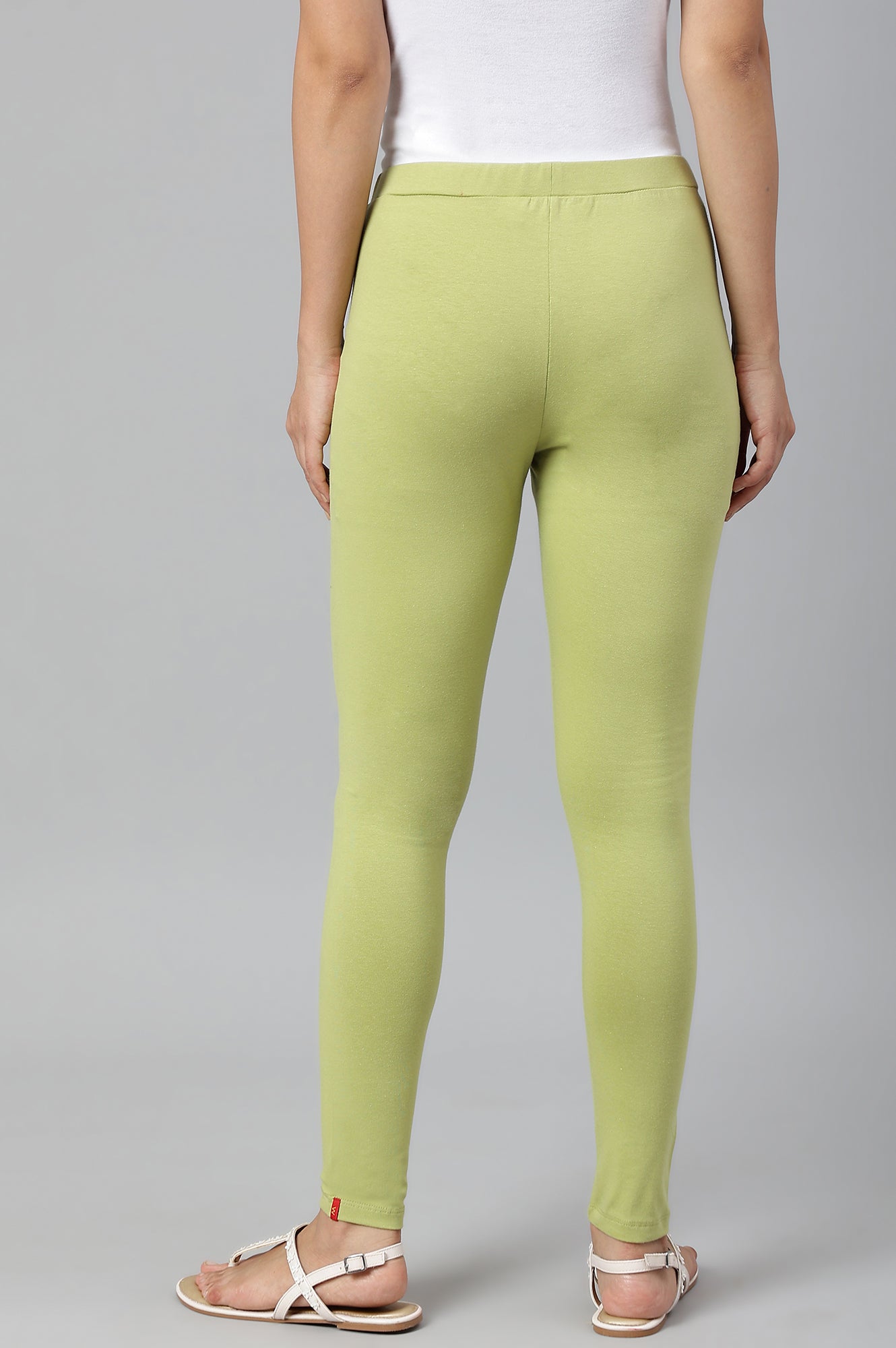 Pistachio Green Cotton Jersy Tights