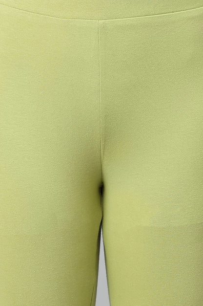 Pistachio Green Cotton Jersy Tights