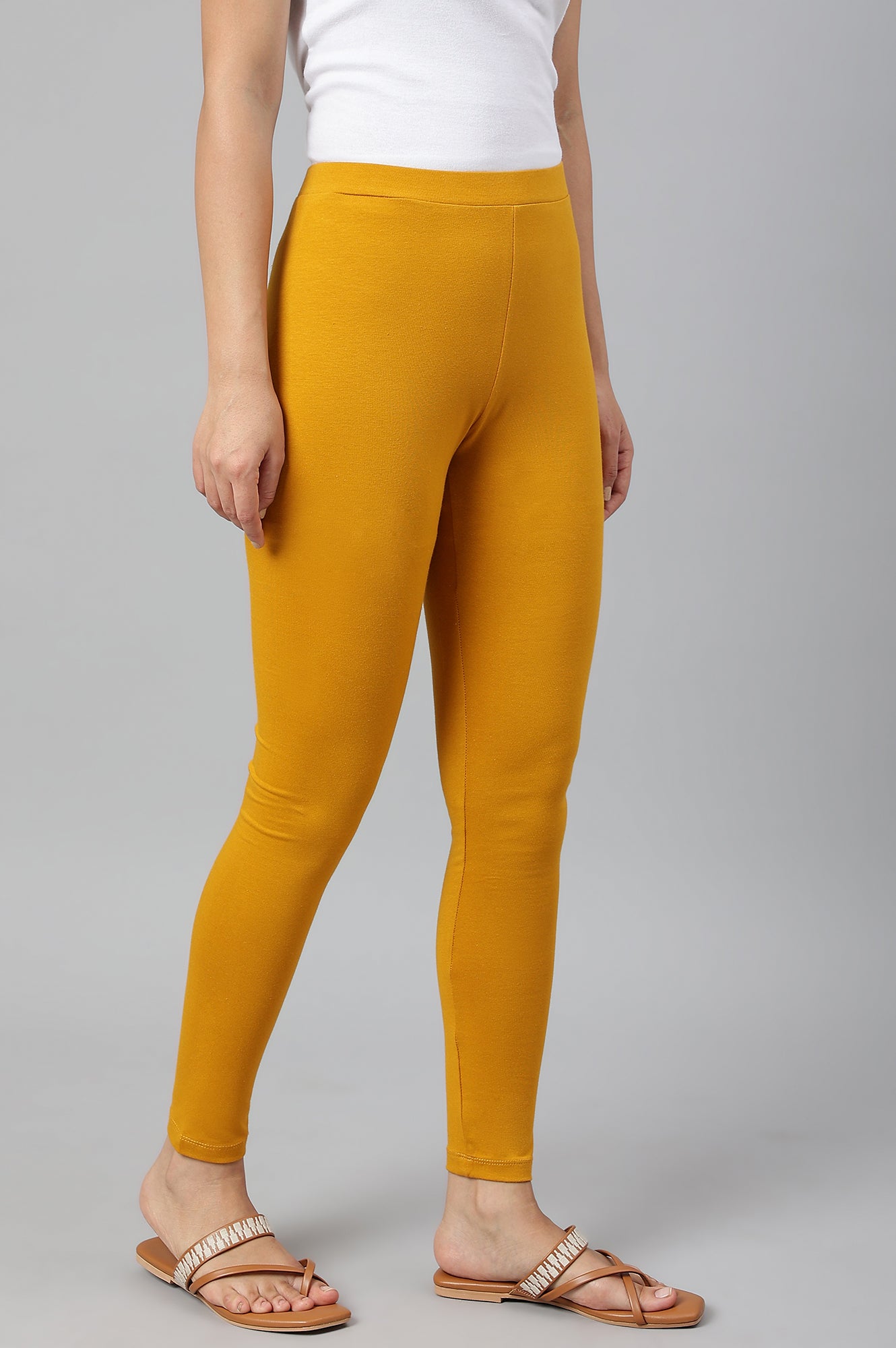 Mustard Solid Knitted Women Tights