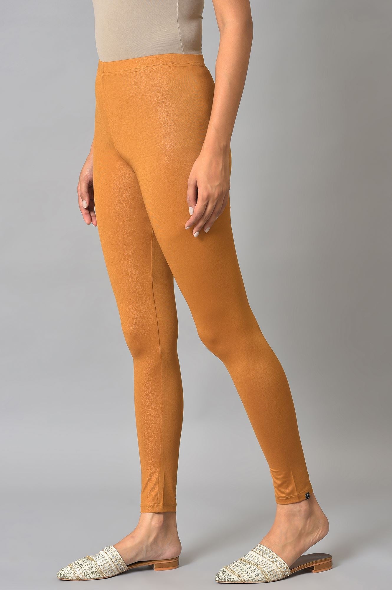 Brown Poly Lycra Tights