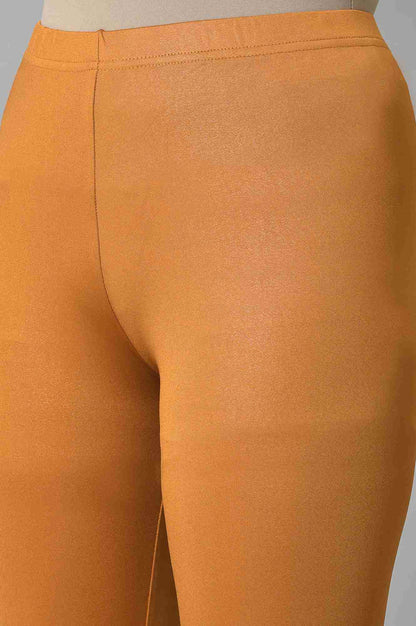 Brown Poly Lycra Tights