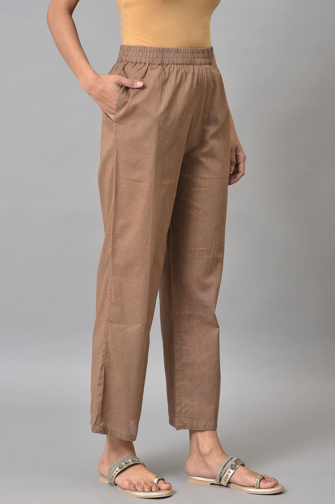 Beige Fully Elastication Parallel Pants