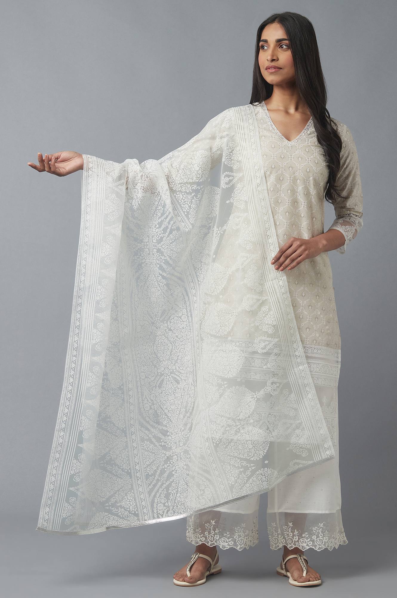 Ecru Brasso Printed Dupatta