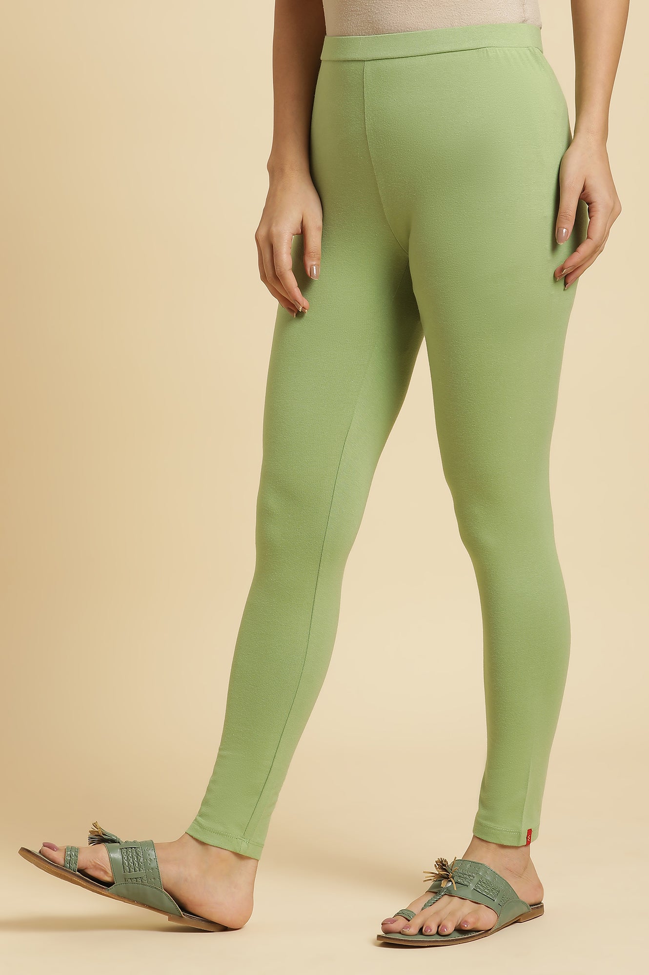 Green Cotton Jersey Tights