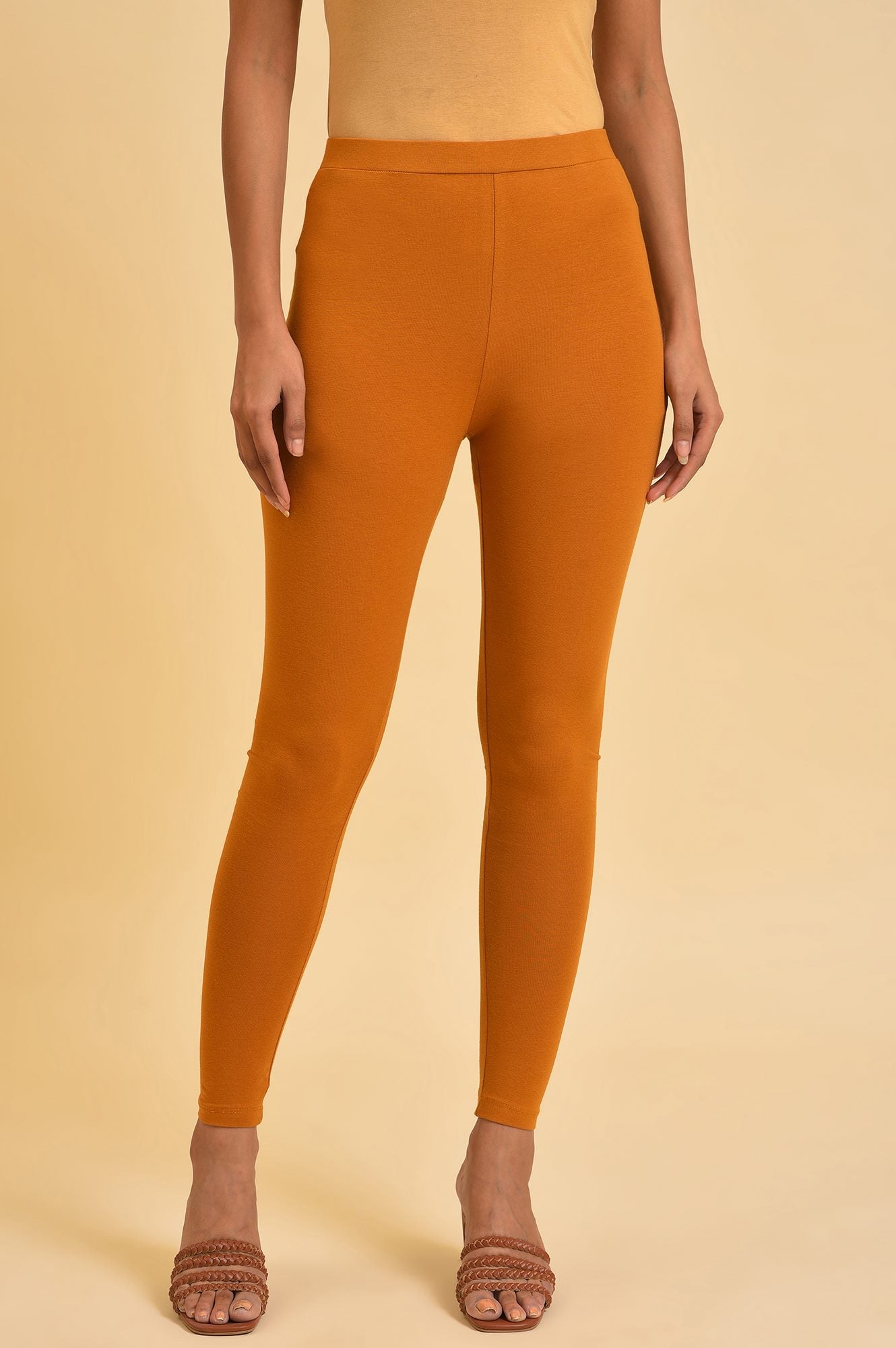 Mustard Yellow Cotton Jersey Tights