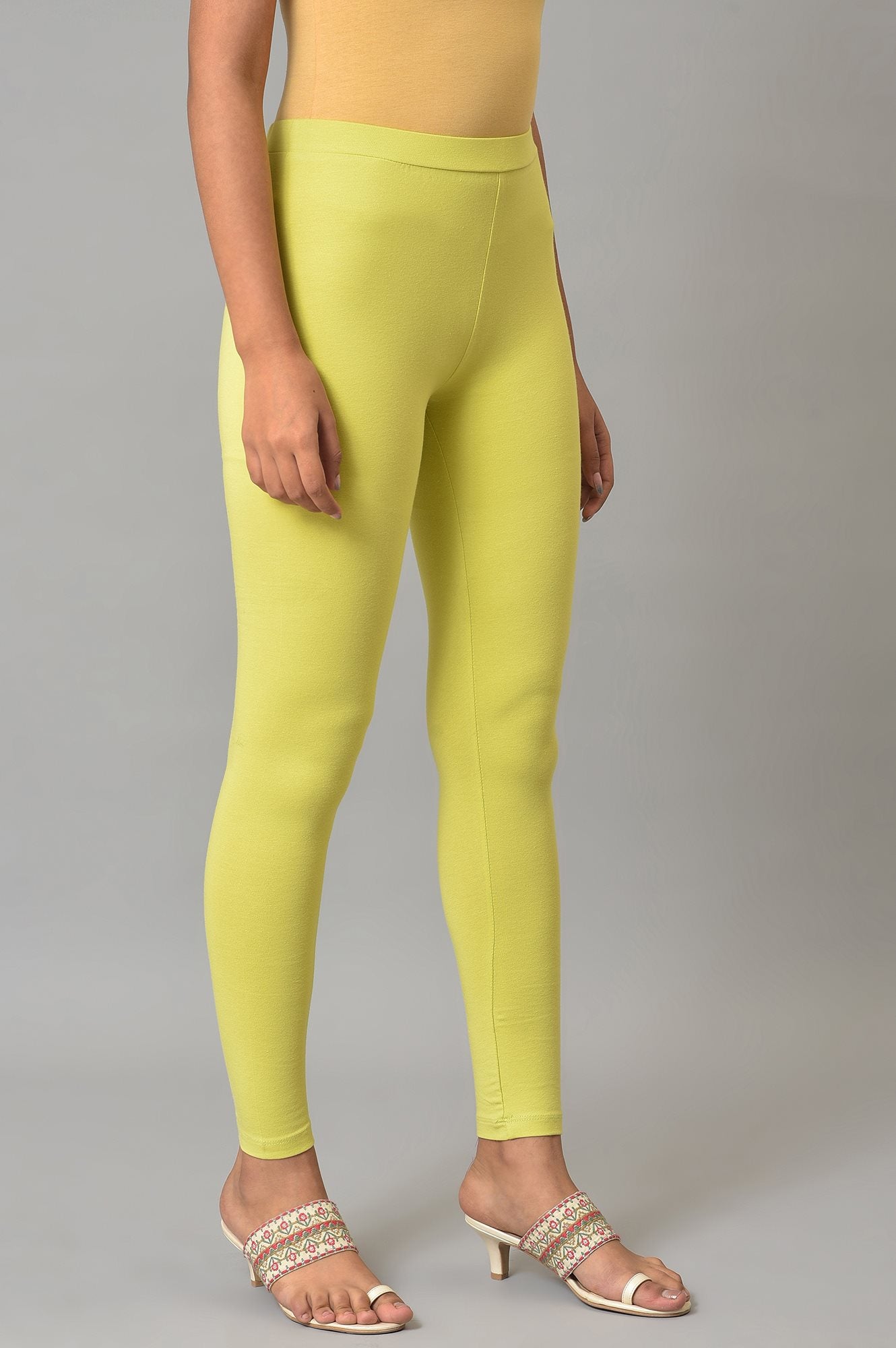 Green Cotton Jersey Tights