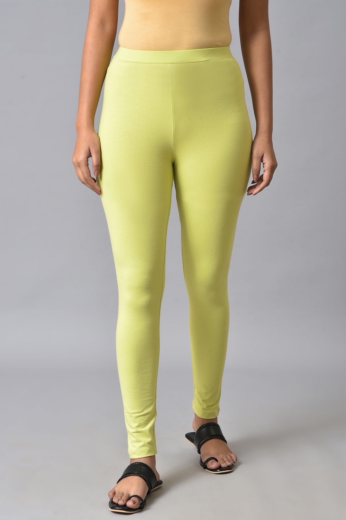 Celery Green Cotton Jersey Tights