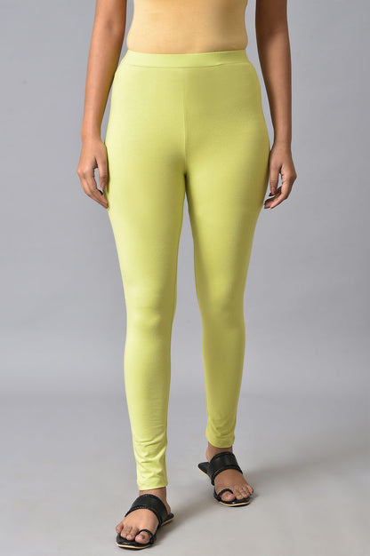 Celery Green Cotton Jersey Tights