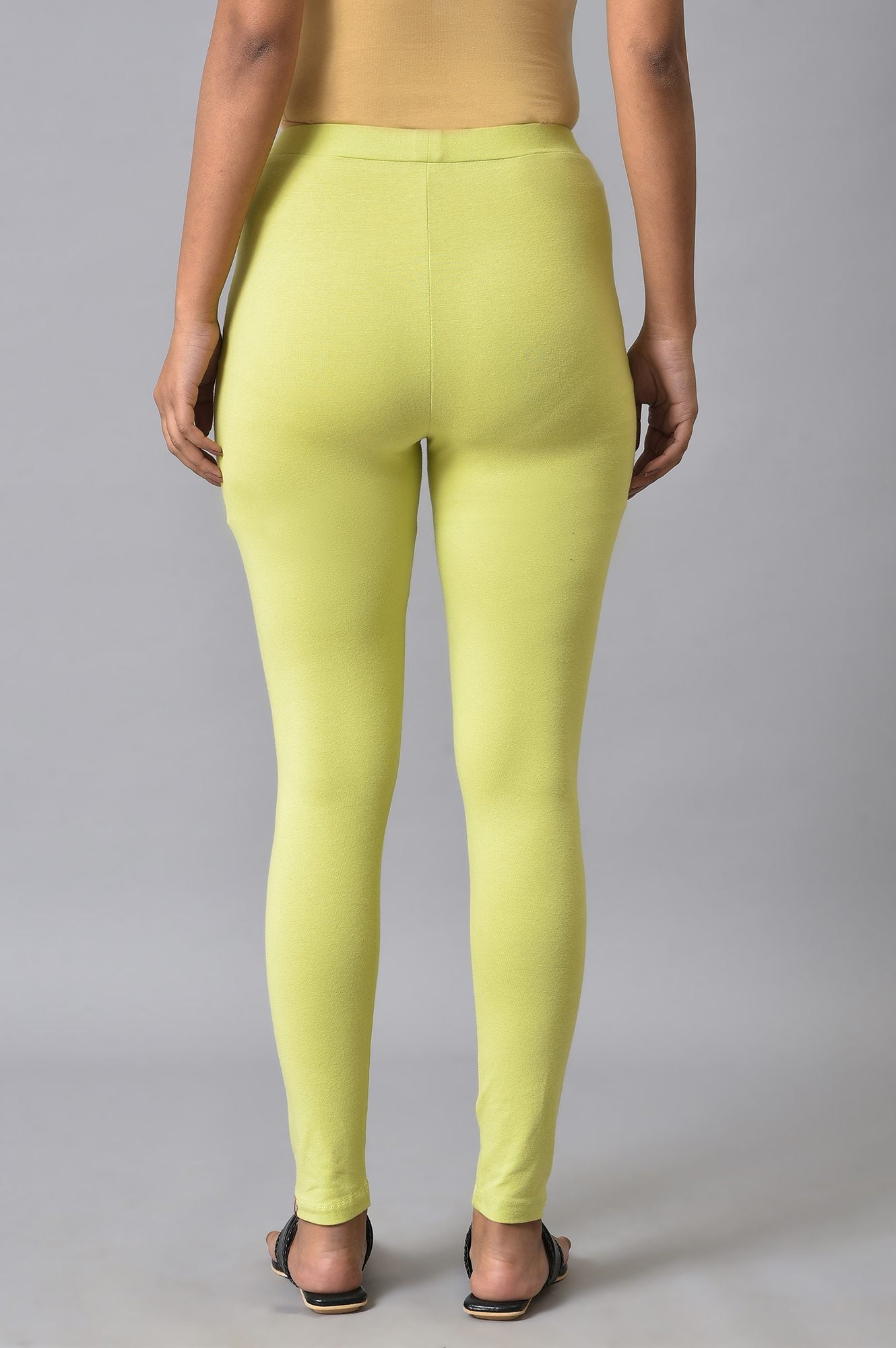 Celery Green Cotton Jersey Tights