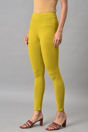 Green Cotton Jersey Tights