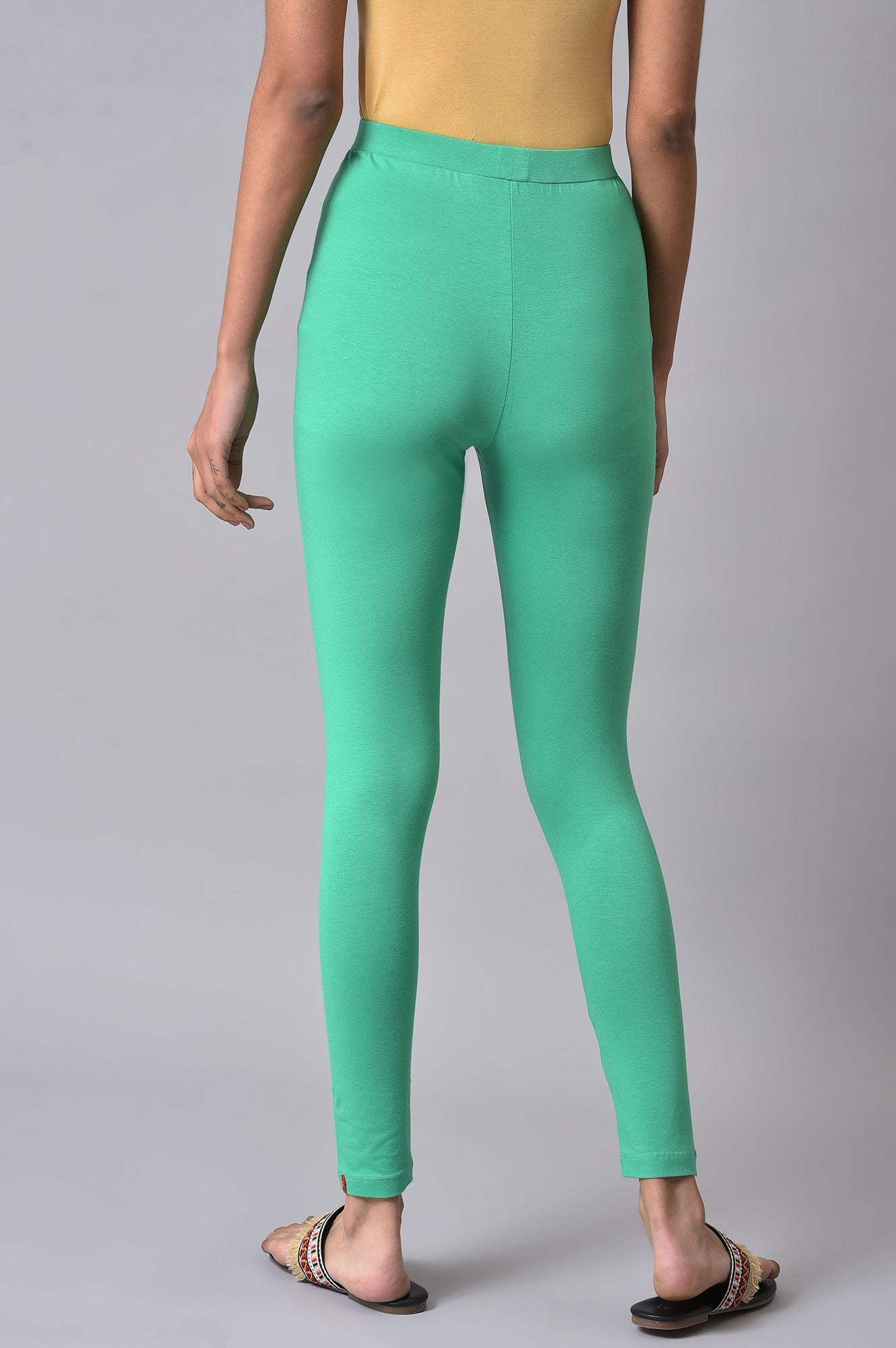 Green Cotton Jersey Tights