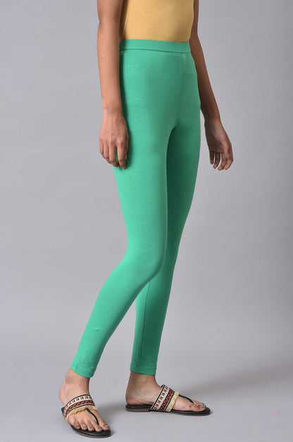 Green Cotton Jersey Tights