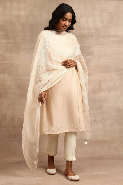 Beige Tepchi Embroidered Kota Drape - wforwoman