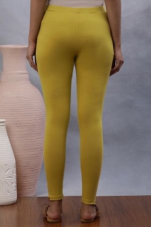Celery Yellow Solid Tights